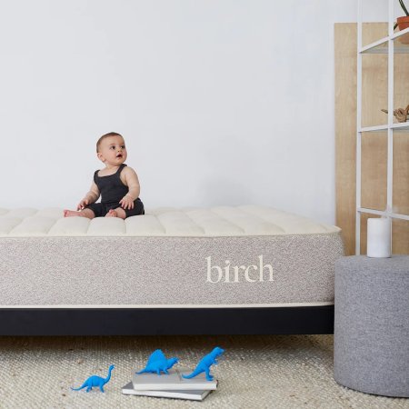  The Best Mattresses Option: Birch Natural Mattress