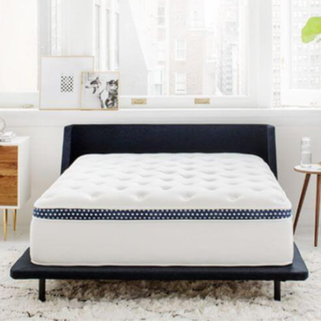  The Best Mattresses Option: The WinkBed