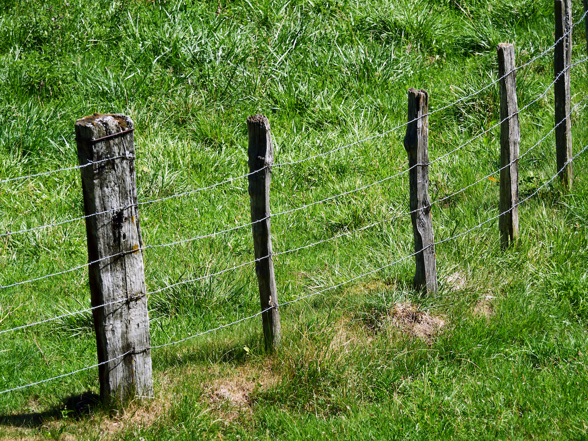 A barbed wire fence is in the grass of a yard or field.