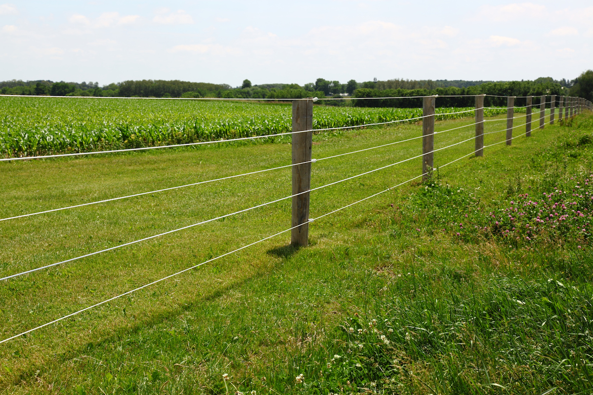 An electric fence is supported with wooden poles along a field.