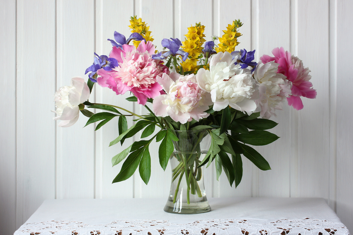 new year new skill flower arranging - fundamentals of flower arranging