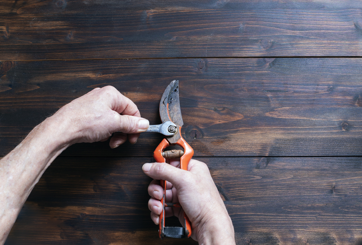 iStock-1294055939 must do february projects sharpening garden shears