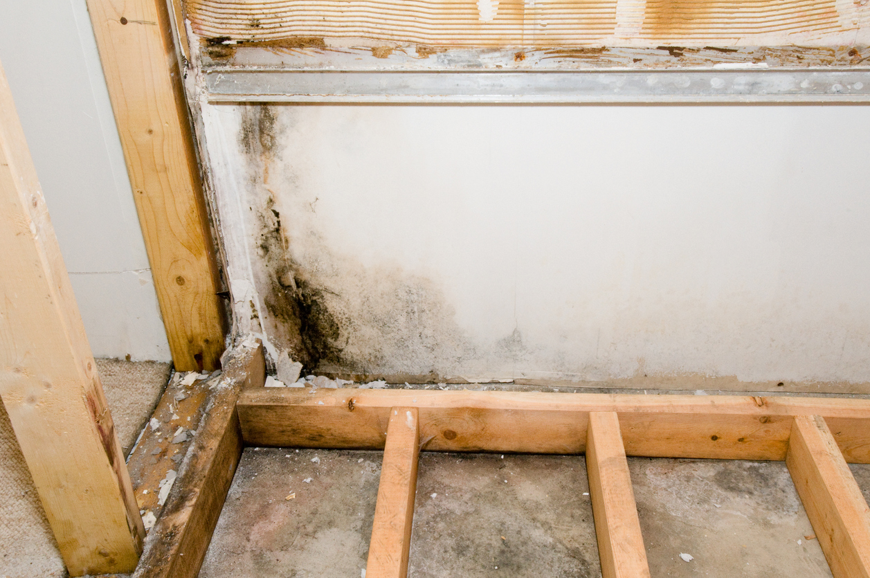 The walls and floor of a basement with damage due to poor insulation. 