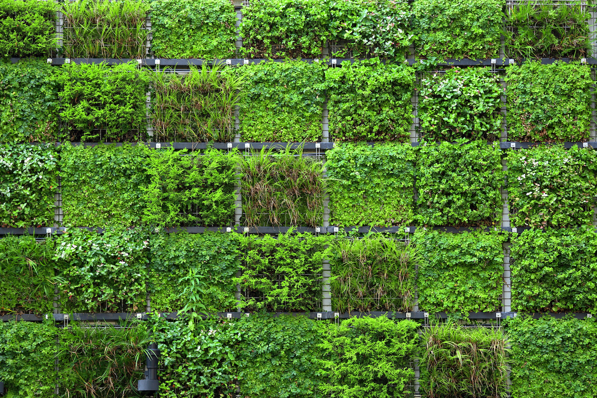 A vertical garden is planted in square shapes in a wired fence.