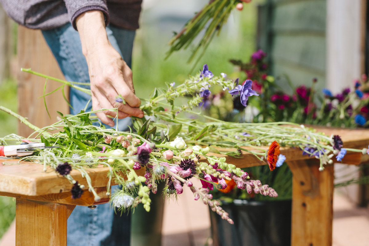 new year new skill - diy florist harvesting from cut flower garden