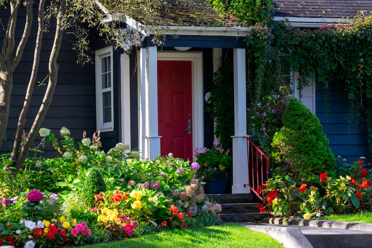 The 18 Best Shrubs for the Front of the House