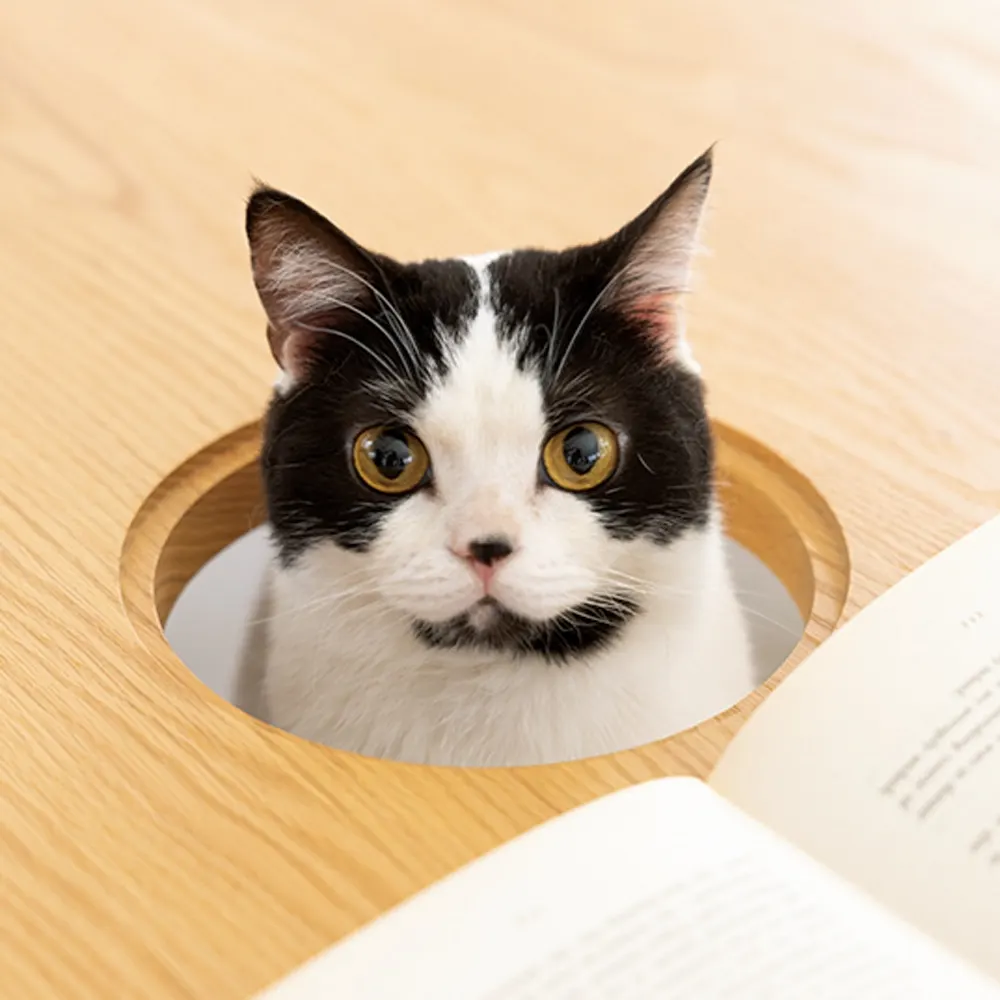 special cat furniture oak table with cat