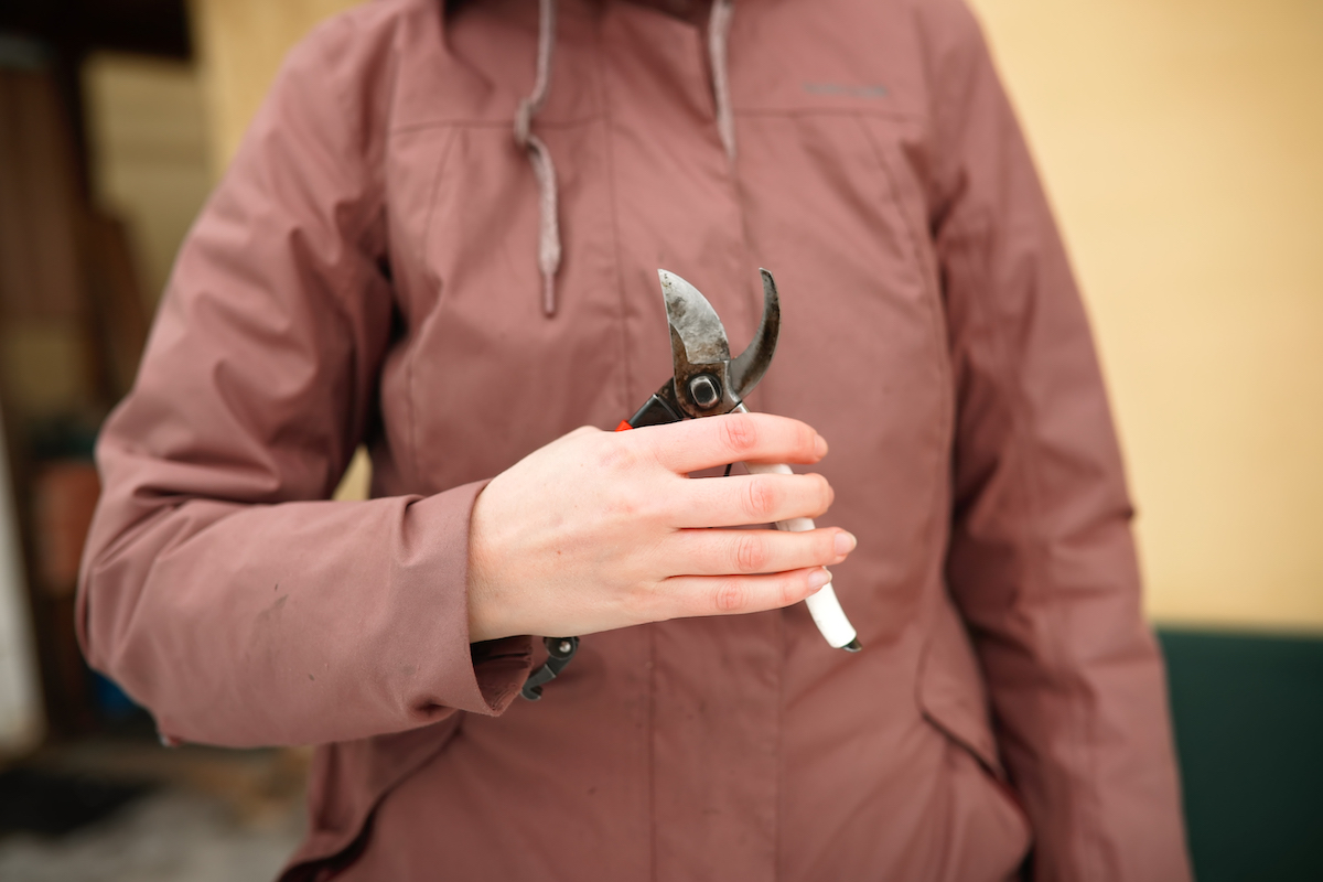 Woman in a jacket outdoors holds secateurs for cleaning and sharpening.