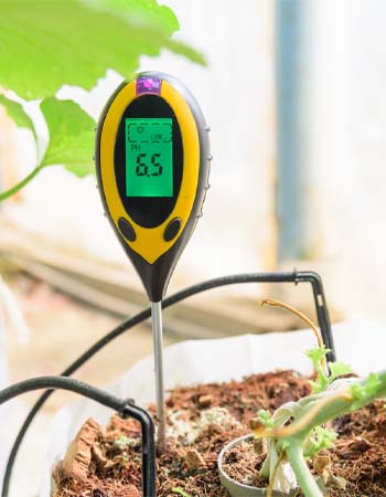 How to Lower Soil pH