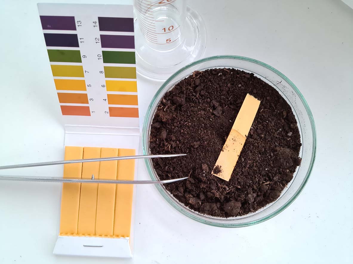 How to Lower Soil pH