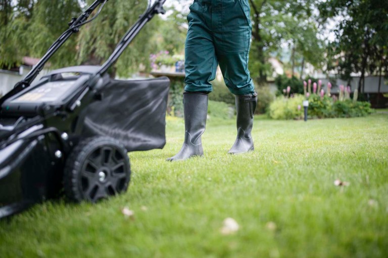 Sunday Lawn Care Vs Trugreen Which Lawn Care Service Is Best 2024