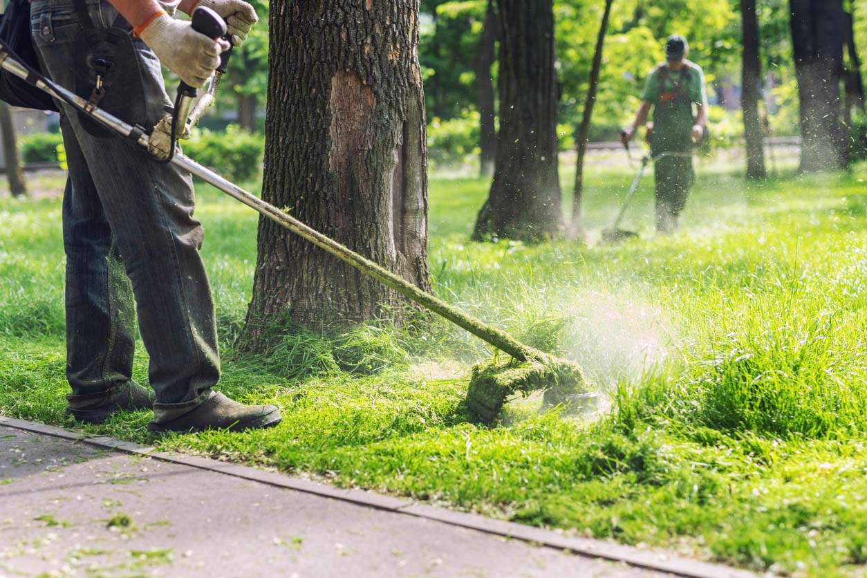 Workers mow and trim a lawn. 