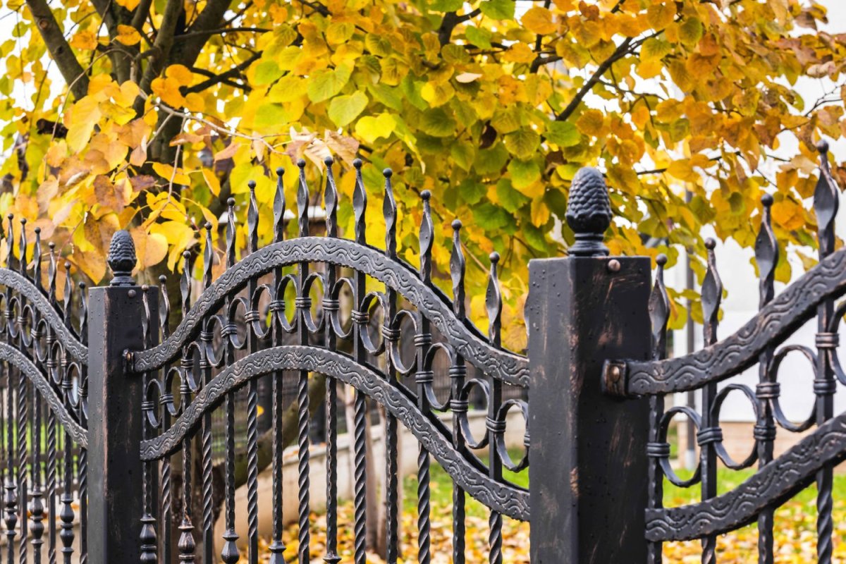 A black wrought iron fence with autumn trees in the background.