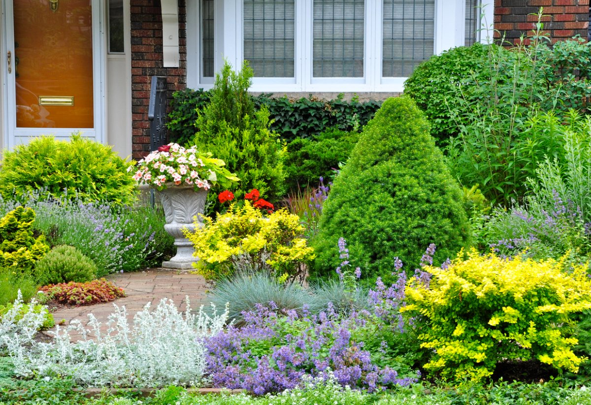 iStock-1452749911 thorny plants Beautiful front yard garden with no grass