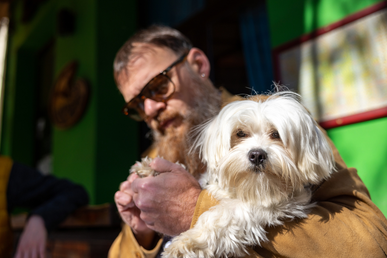 coconut oil uses man holding dog stroking dogs paw