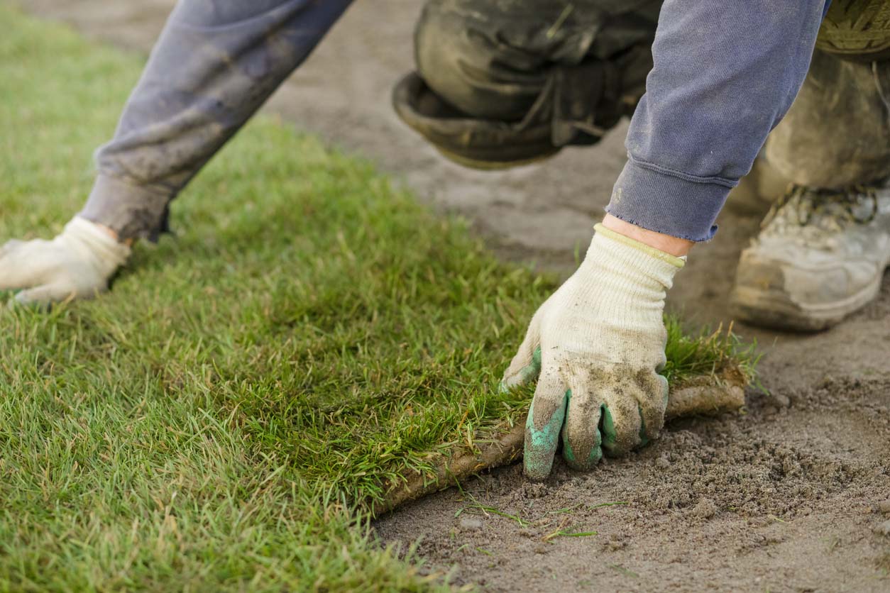 A close up of a person laying down sod.