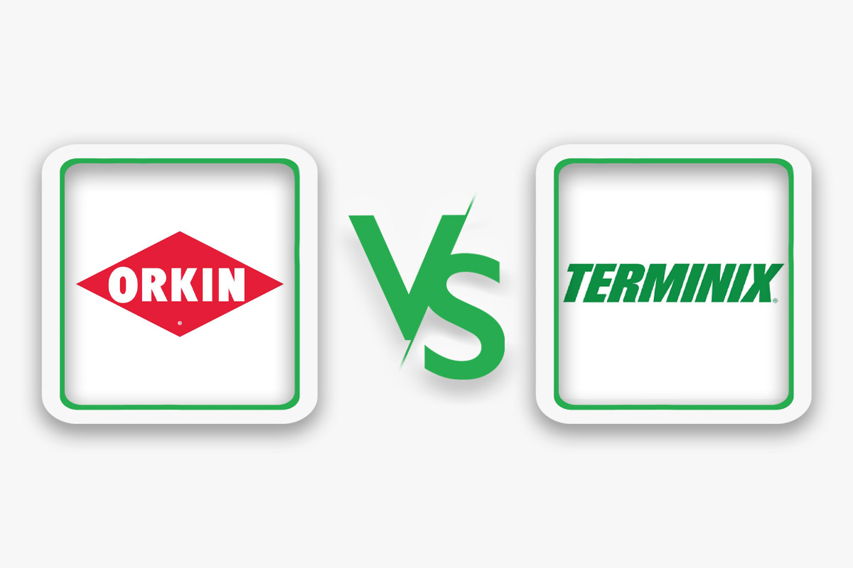 Orkin logo and Terminix logo with a "vs" graphic between the two.