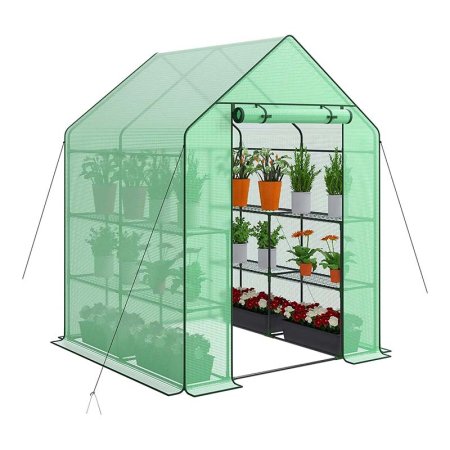  The Best Greenhouse Kit Option: Nova Microdermabrasion Mini Walk-In Greenhouse