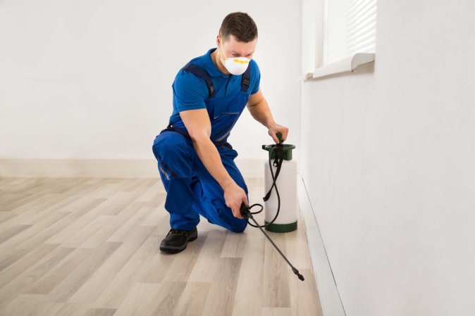 The Best Pest Control Companies in Arizona Options