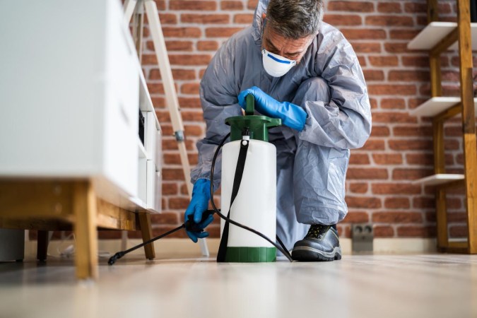 The Best Termite Treatments of 2023
