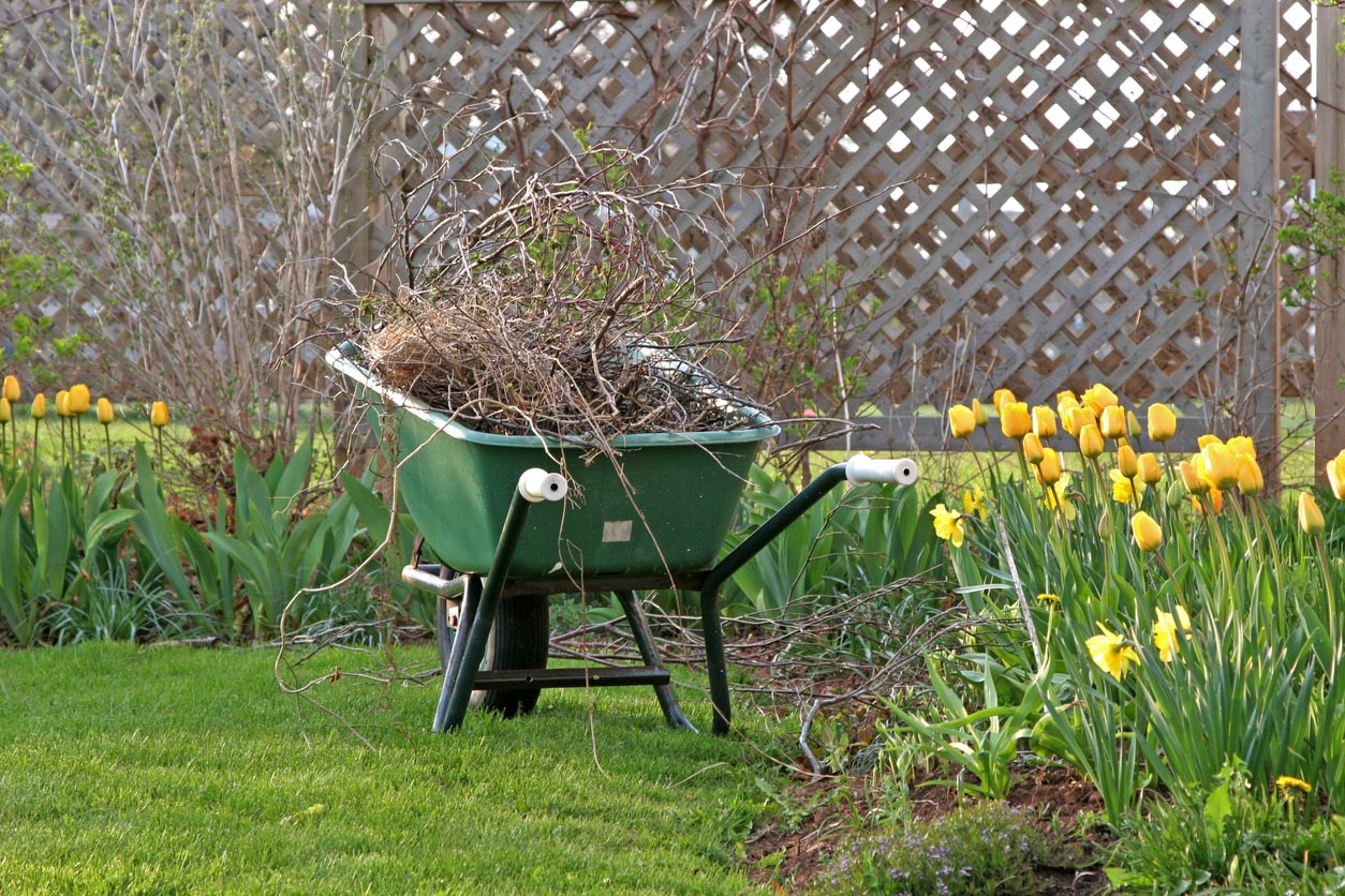 Yard Cleanup Cost