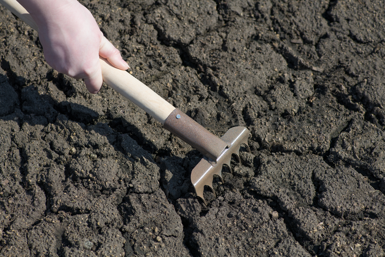 iStock-1133978707 earthworm benefits A fragment of a hand that holds a rake and loosens the cracked earth