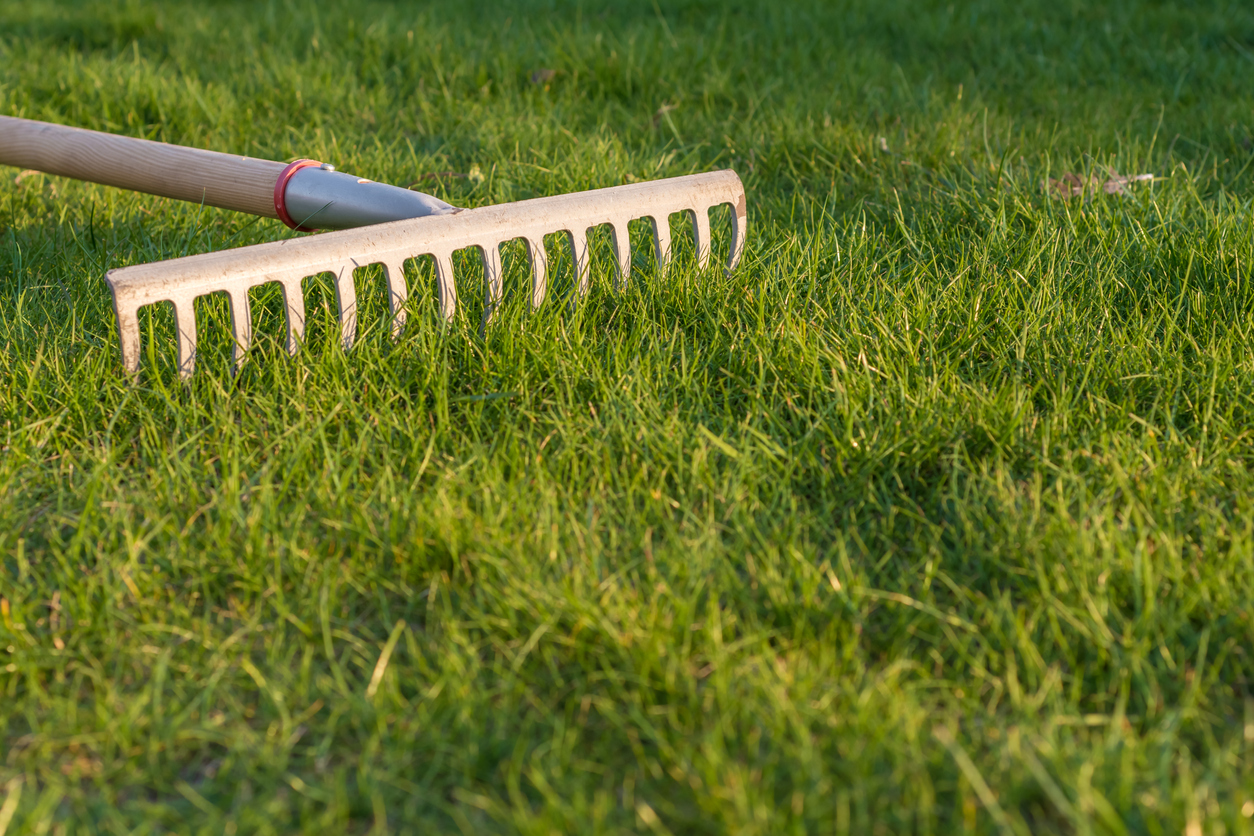 iStock-1146429762 earnworm benefits rake on grass