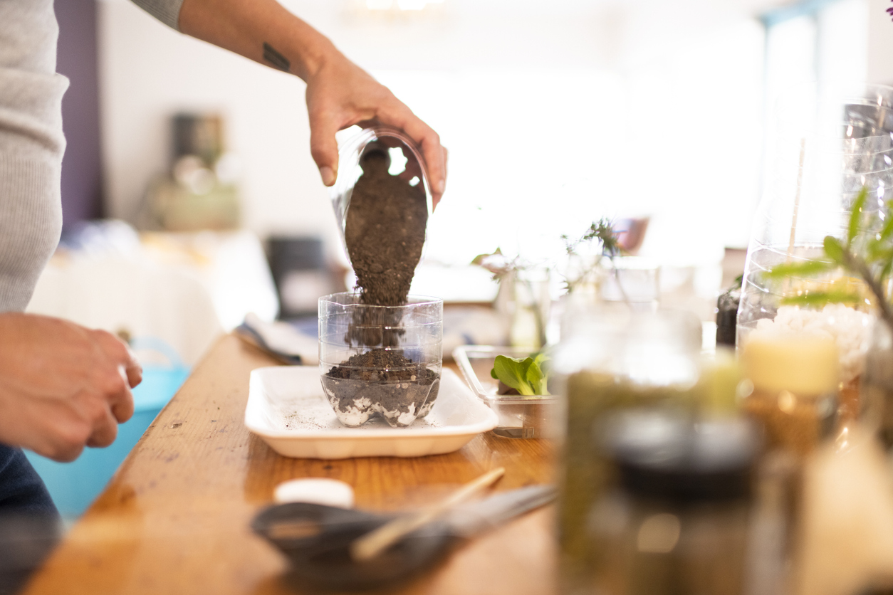 iStock-1223201684 organic gardening tiips close up pouring soil into plastic bottle for seedlings