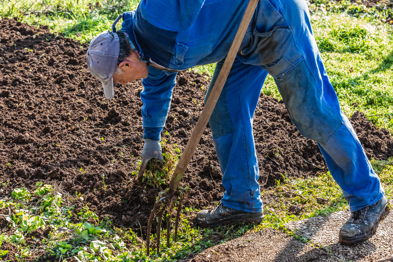 iStock-1224388929 things a landscaper can do man in coveralls weeding