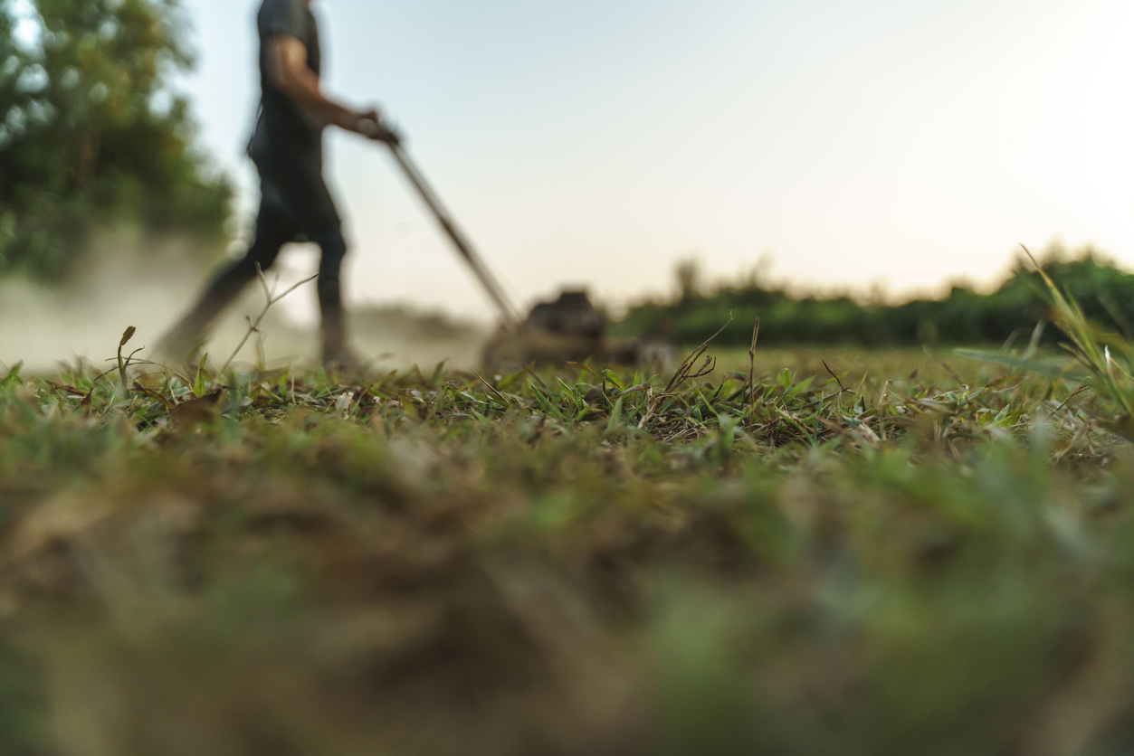 mowing mistakes everyone makes man mowing lawn out of focus dust rising in wake uneven grass foreground