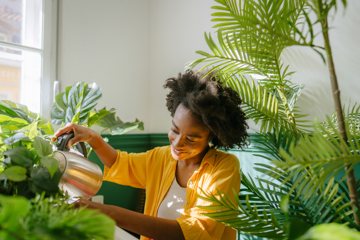 iStock-1305447683 revive overwintered plants woman watering house plants