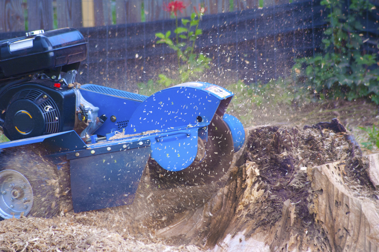 iStock-1357950335 save money gardening Stump Grinder at Work