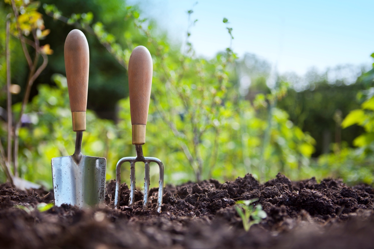 20 Totally Free Ways to Start a Garden This Year - Bob Vila