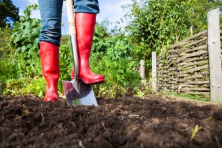 How to Till a Garden Without a Tiller