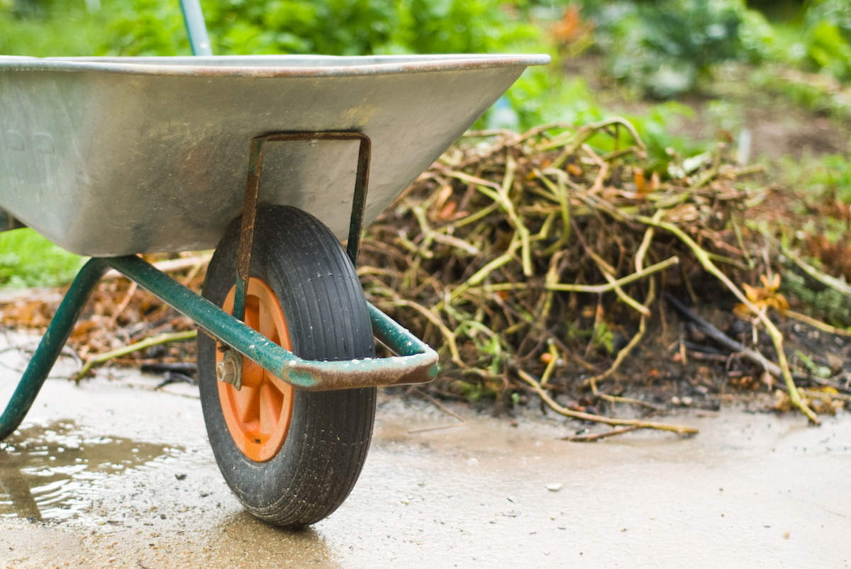 how to till a garden properly - clear debris from the garden plot