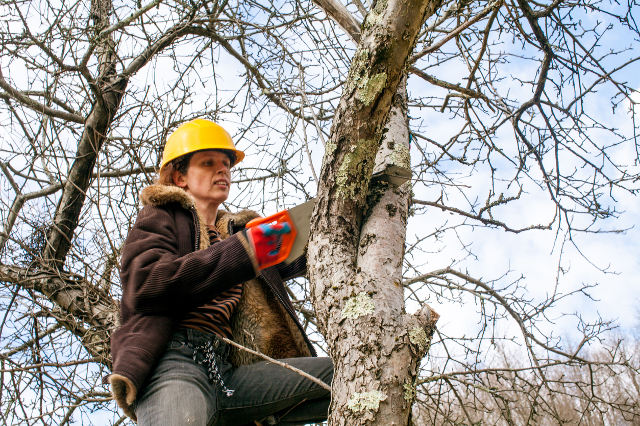 iStock-961913858 14 Wise Ways to Weatherproof Your Garden Woman Pruning Tree Branch with Hand Saw