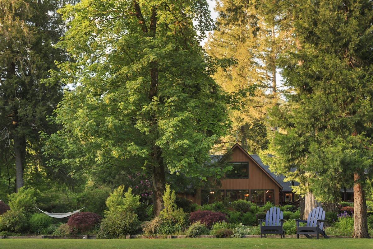 The 20 Best Trees for Your Backyard