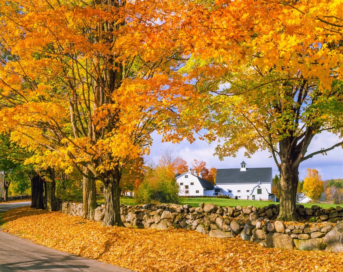 The Farmer’s Almanac Unveils Its 2025 Fall Weather Predictions