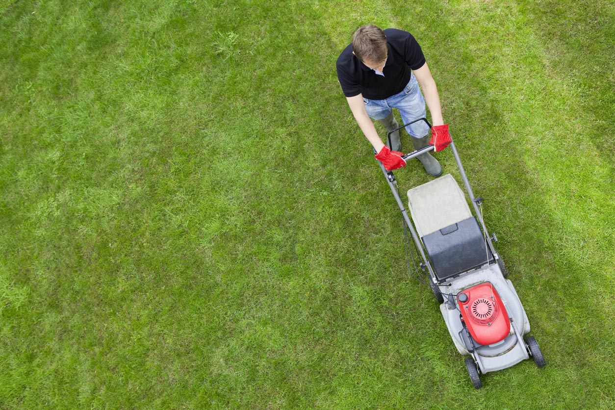 Bare Spots in a Lawn