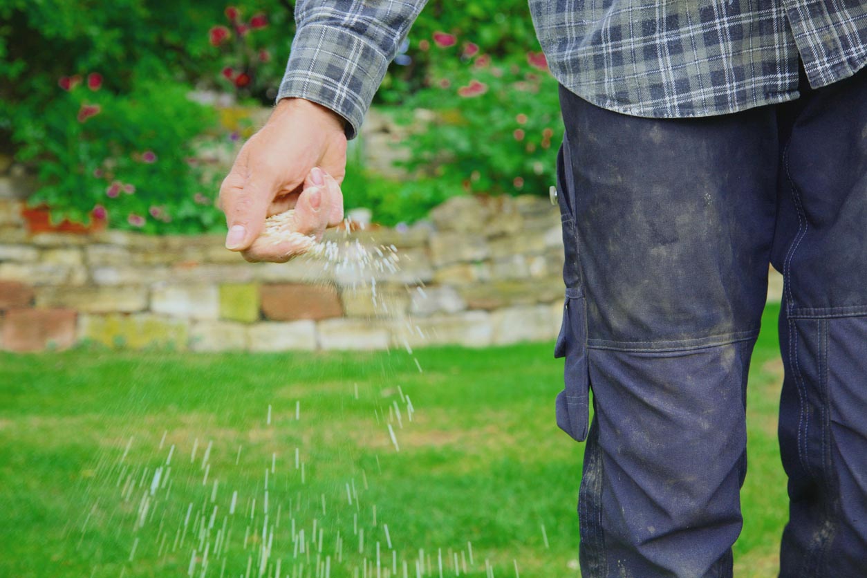 Bare Spots in a Lawn