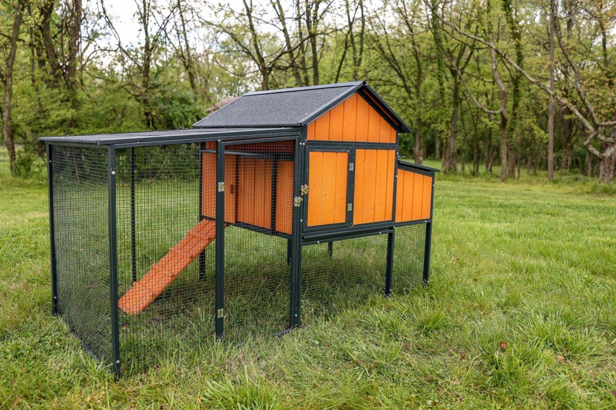 Low-Cost Chicken Coop Option: Producer’s Pride Sentinel Chicken Coop