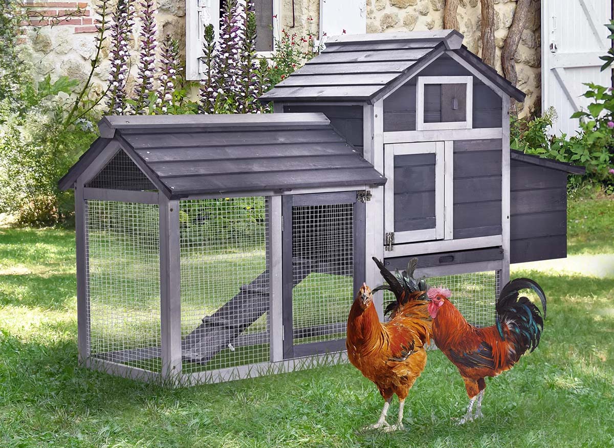 Low-Cost Chicken Coop Option: Tucker Murphy Pet Diego 14.1-Square-Foot Chicken Coop and Run