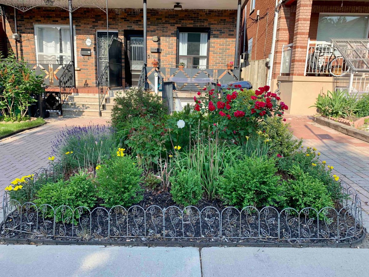 Perennial-Garden Outside a House