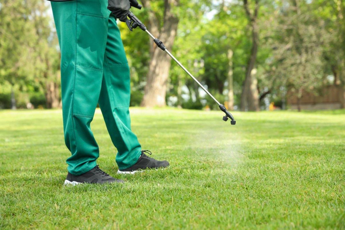 A pest control specialist sprays a solution on a lawn.