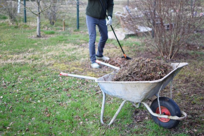 How Much Does Shrub and Bush Removal Cost