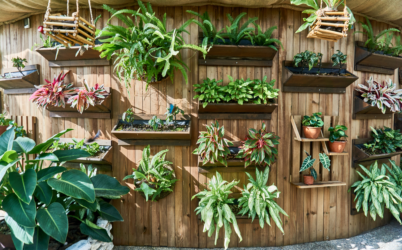 rounded wooden wall of vertical panels with planters full of green plants mounted