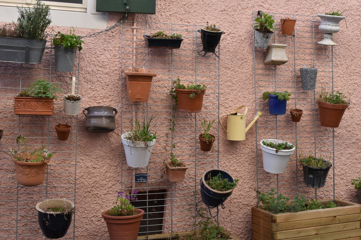 pink stucco wall with unique potted plants mounted in unique eclectic pots