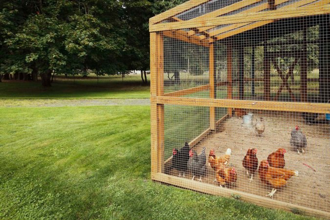 Chicken Coop Cost