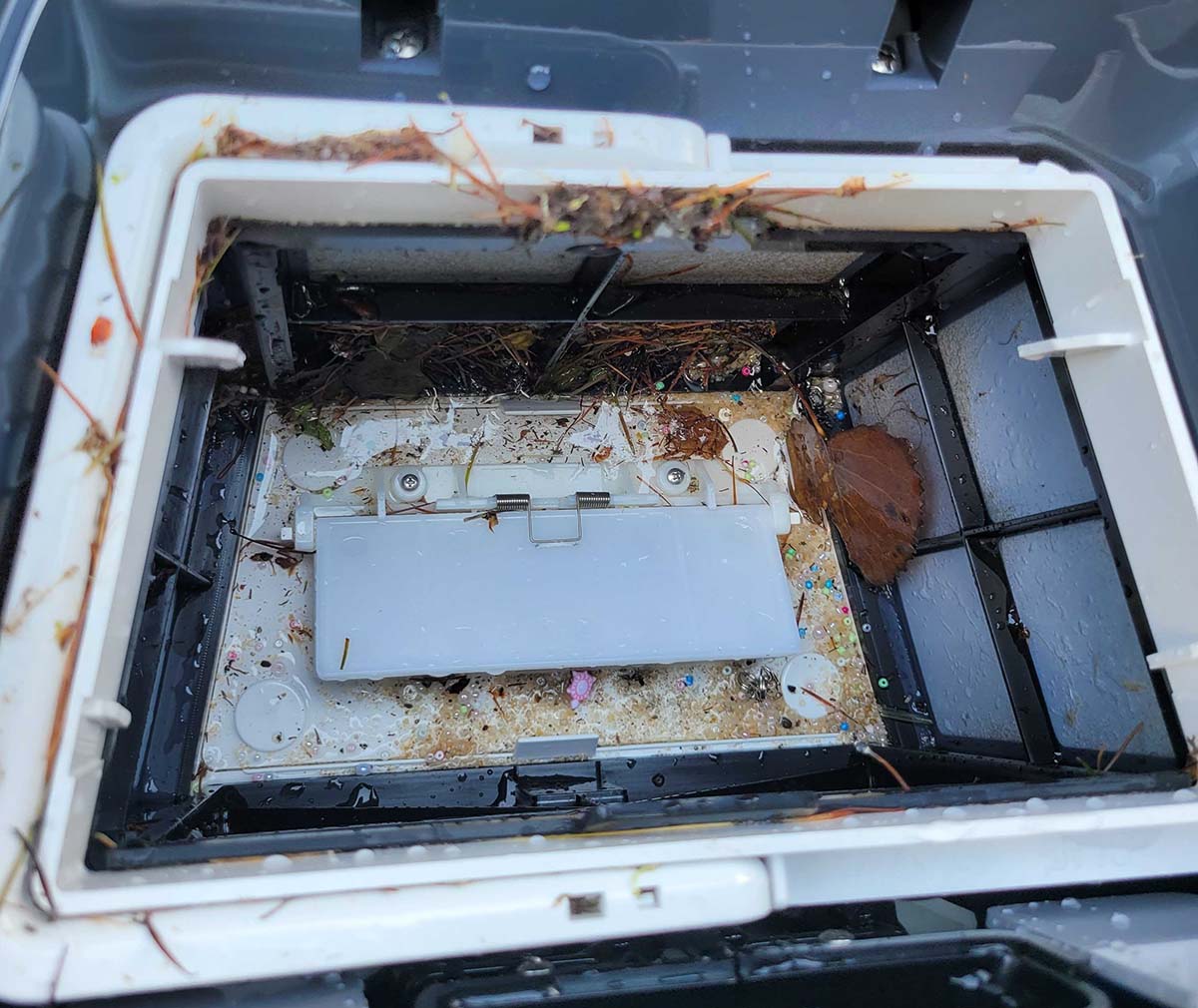 A close-up of the Dolphin escape removable filter basket full of debris