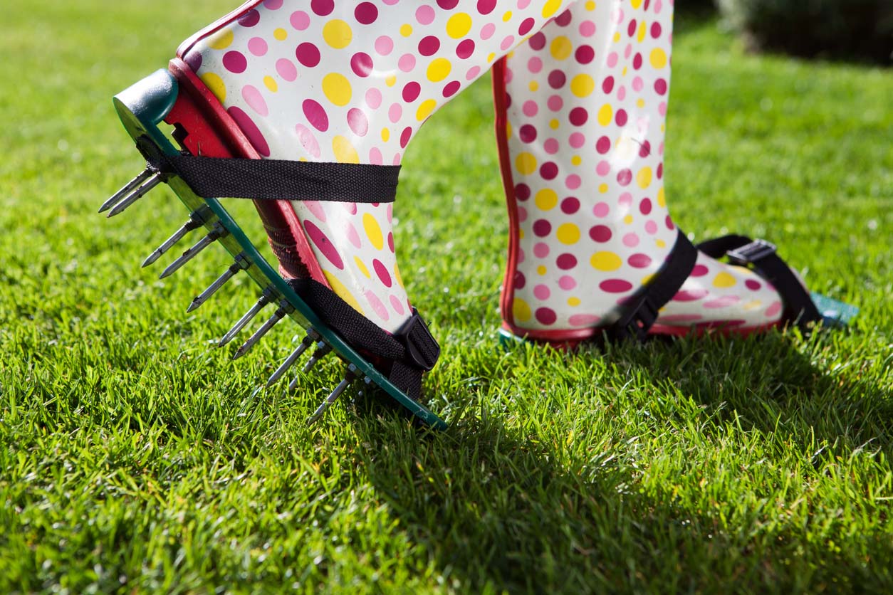 Drought-Stressed Lawn